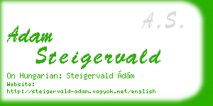 adam steigervald business card