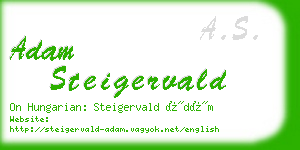adam steigervald business card